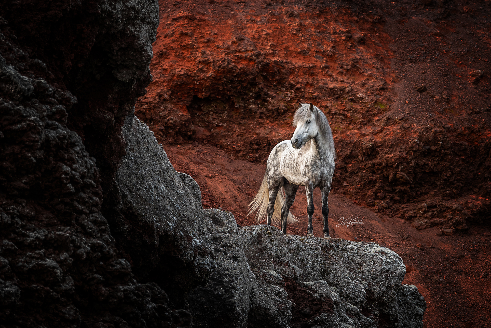 Afbeelding 921-socials