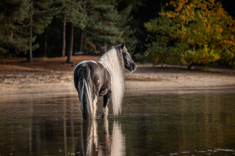5102025_Herperduinen 1195-socials