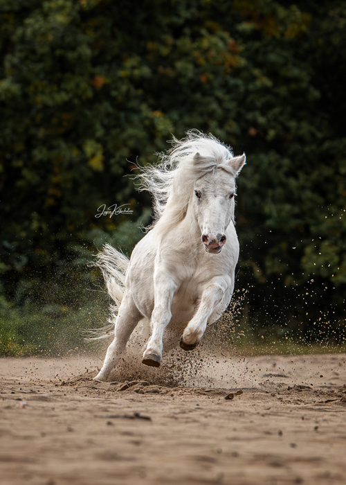 5102025_Herperduinen 765-socials