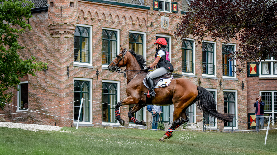 Afbeelding 513140-bewerkt