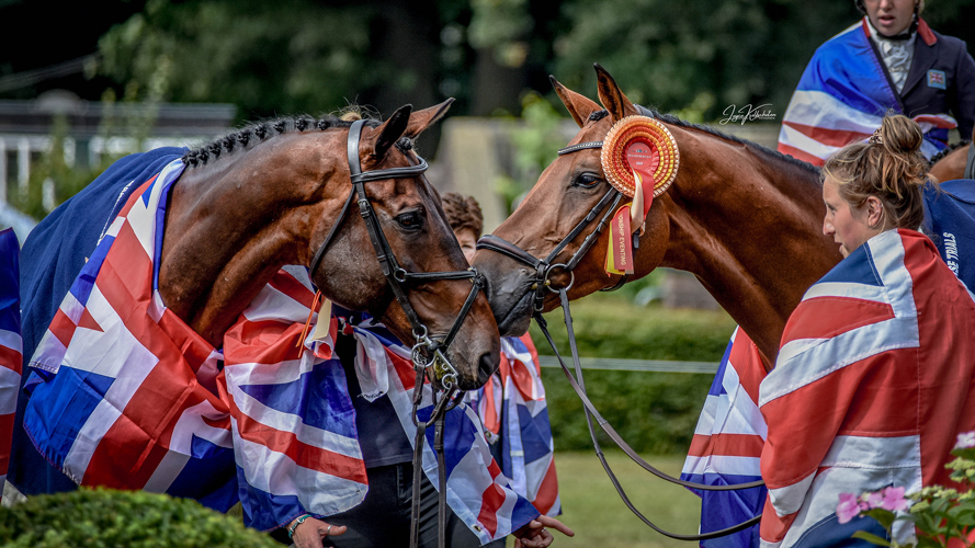 Afbeelding 515018-bewerkt