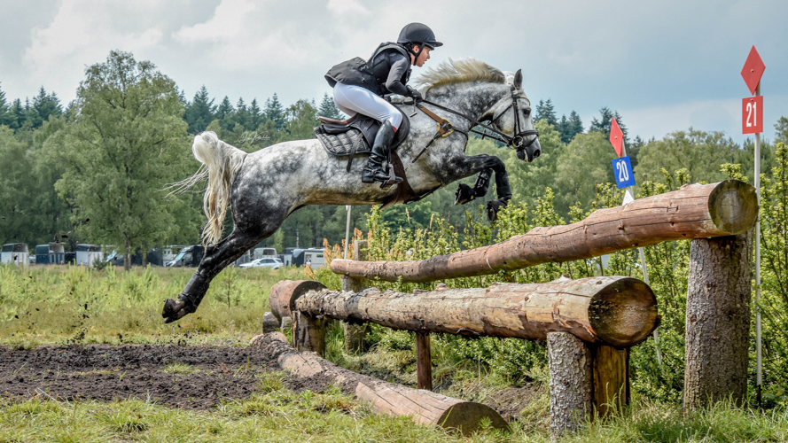 Afbeelding 534706-bewerkt