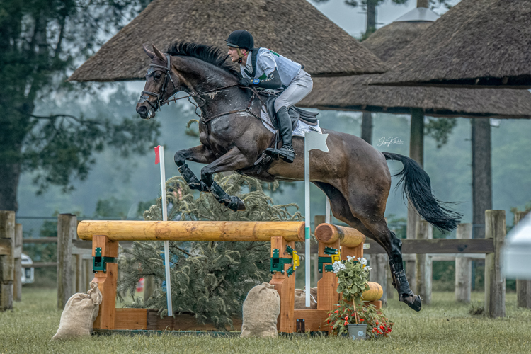 Afbeelding 574570-bewerkt-bewerkt