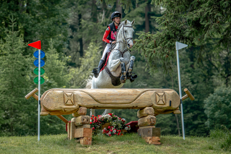 Afbeelding 576147-bewerkt