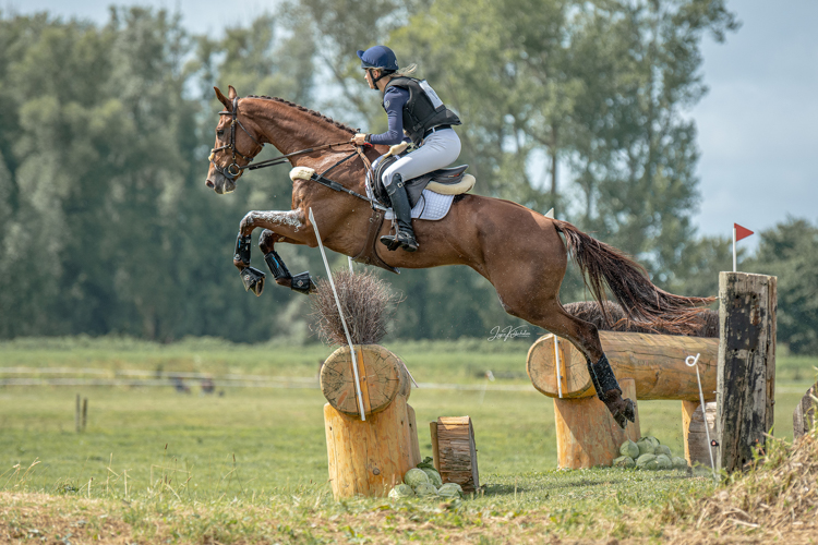 Afbeelding 578105-bewerkt