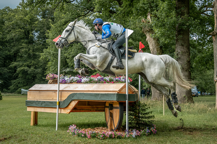 Afbeelding 597284-bewerkt