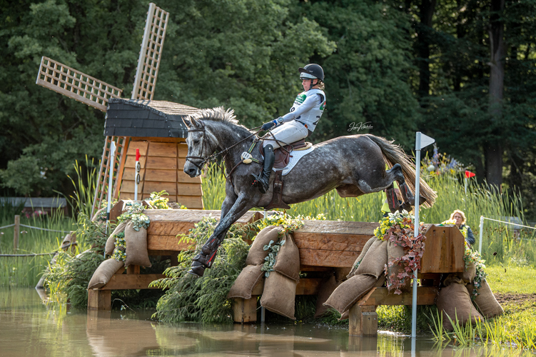 Afbeelding 597659-bewerkt