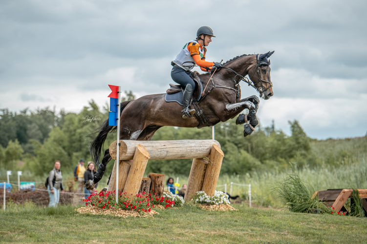 Afbeelding 599895-bewerkt