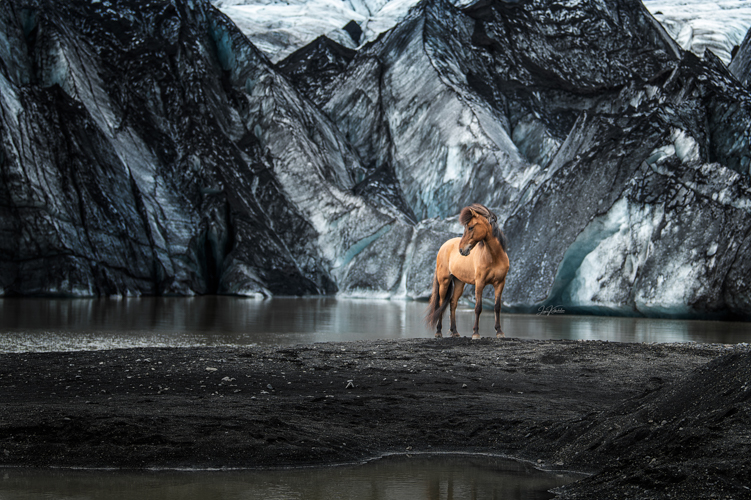 Afbeelding 6972-socials2